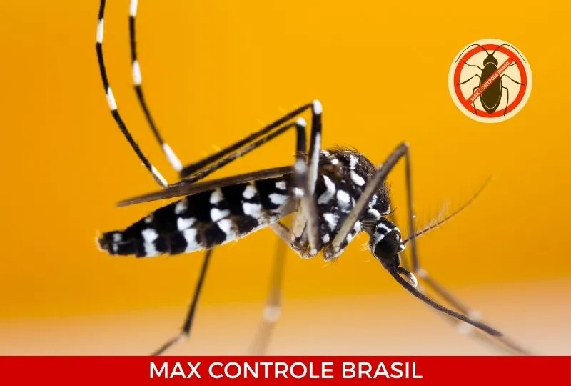 Max Controle Brasil